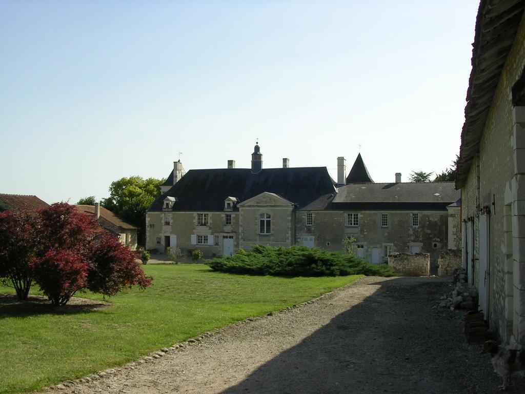 Chateau De La Noblaye Bed and Breakfast Lemere Exterior foto