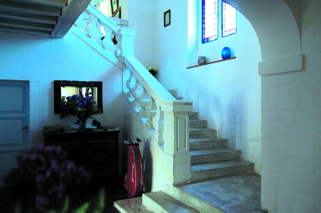 Chateau De La Noblaye Bed and Breakfast Lemere Exterior foto