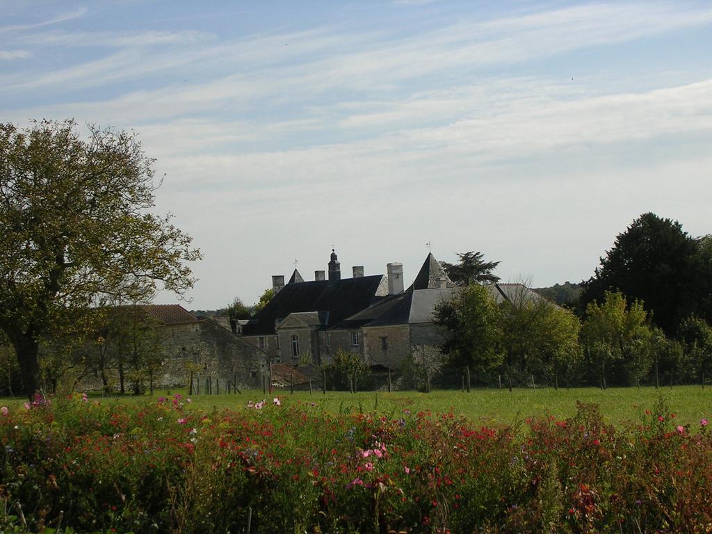 Chateau De La Noblaye Bed and Breakfast Lemere Exterior foto