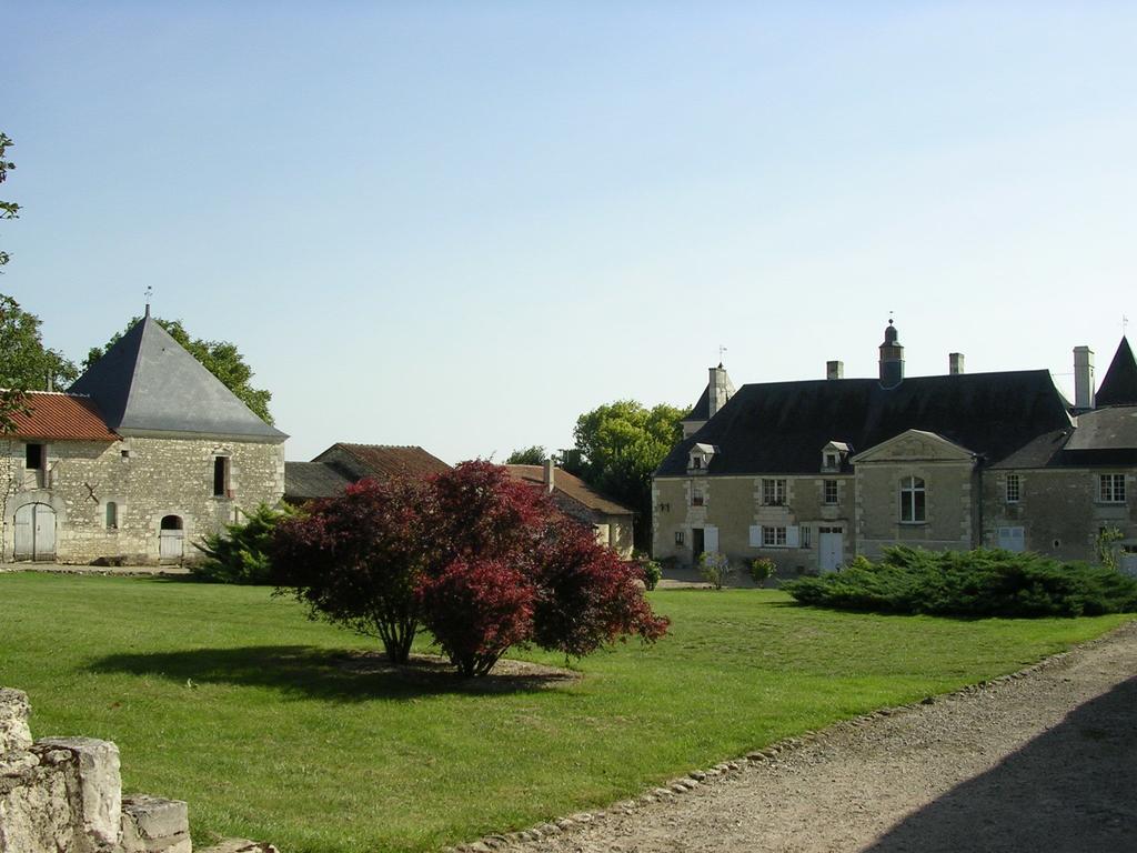 Chateau De La Noblaye Bed and Breakfast Lemere Exterior foto