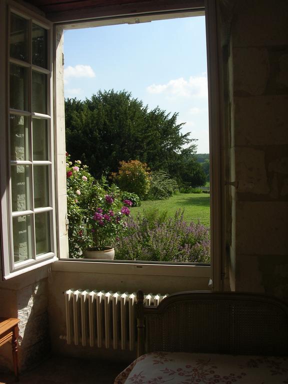 Chateau De La Noblaye Bed and Breakfast Lemere Exterior foto