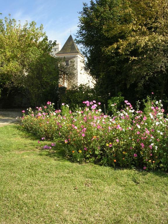 Chateau De La Noblaye Bed and Breakfast Lemere Exterior foto